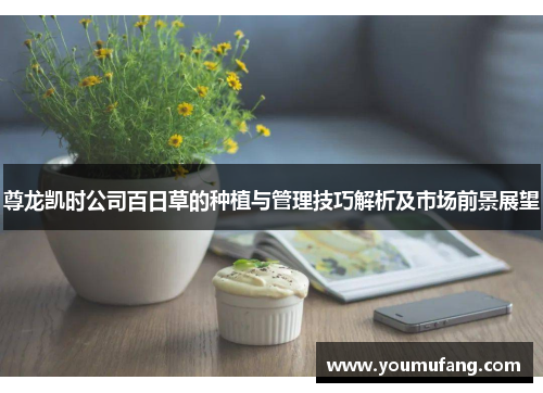 尊龙凯时公司百日草的种植与管理技巧解析及市场前景展望