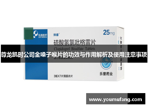 尊龙凯时公司金嗓子喉片的功效与作用解析及使用注意事项