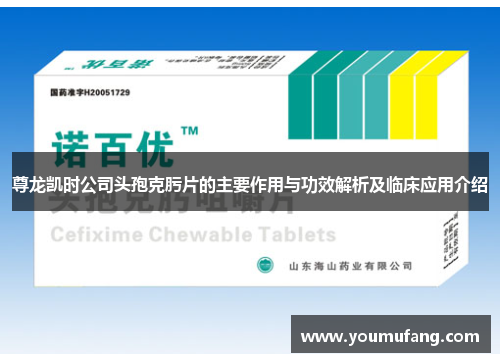 尊龙凯时公司头孢克肟片的主要作用与功效解析及临床应用介绍